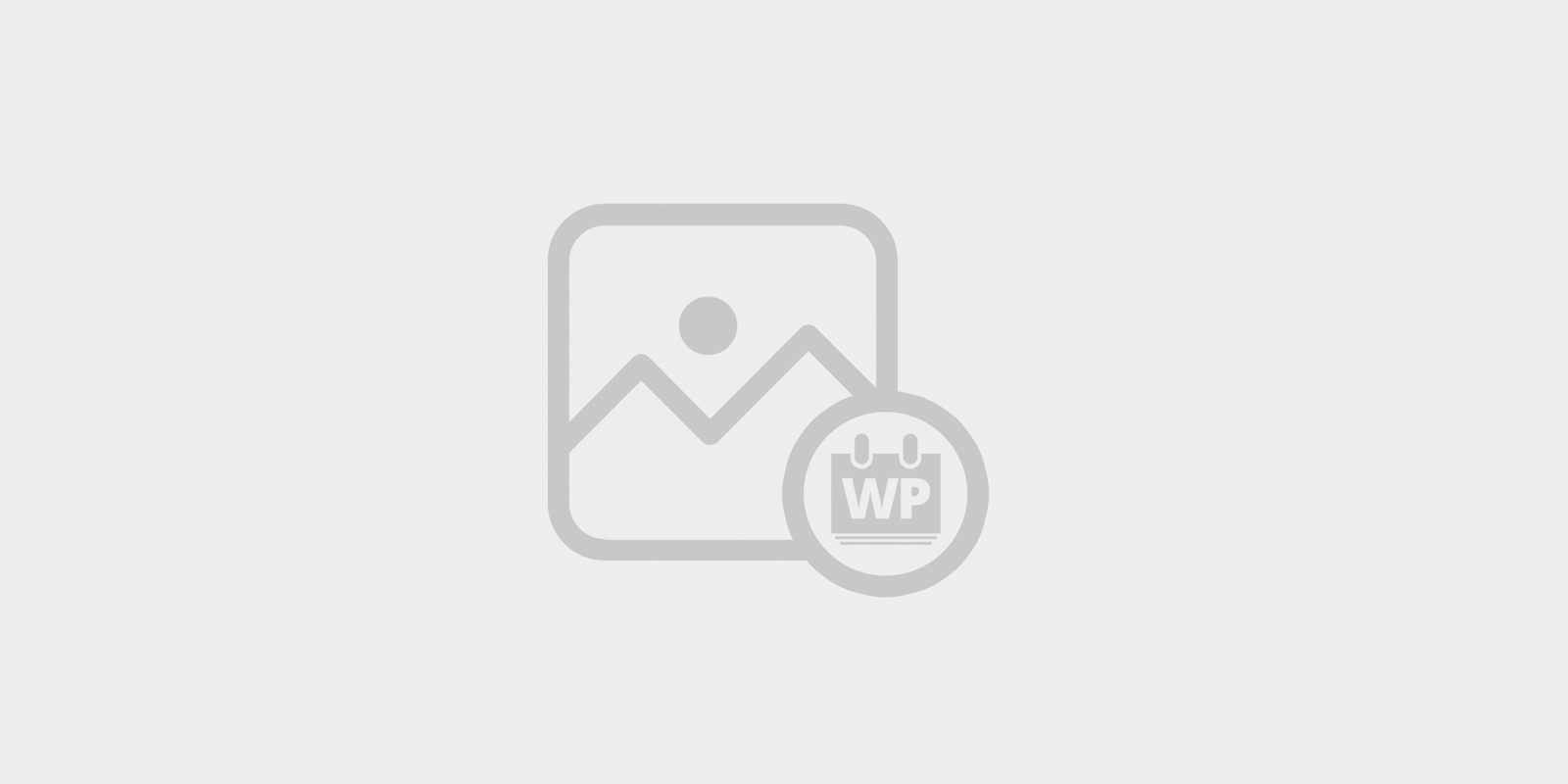 Rapport moral 2024