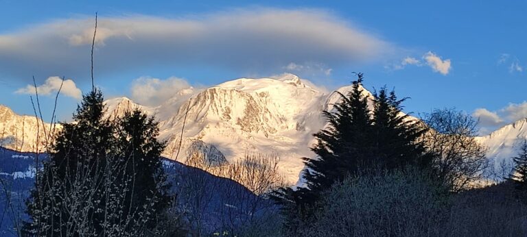 Rapport moral
